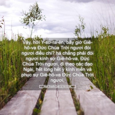 Picture 05 - Phục Truyền Luật Lệ 10:12 VIE - Vậy, hỡi Y-sơ-ra-ên, bây giờ Giê-hô-va - Bible Verse Picture