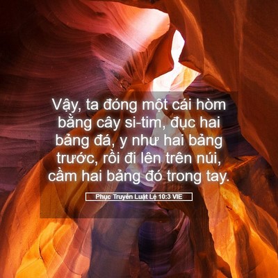 Picture 05 - Phục Truyền Luật Lệ 10:3 VIE - Vậy, ta đóng một cái hòm bằng cây - Bible Verse Picture