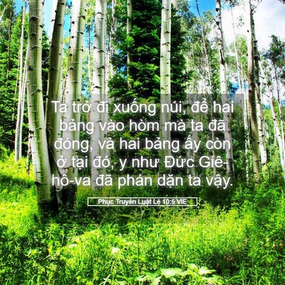 Picture 05 - Phục Truyền Luật Lệ 10:5 VIE - Ta trở đi xuống núi, để hai bảng vào - Bible Verse Picture