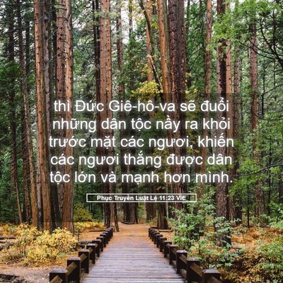 Picture 05 - Phục Truyền Luật Lệ 11:23 VIE - thì Đức Giê-hô-va sẽ đuổi những dân - Bible Verse Picture