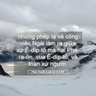 Picture 05 - Phục Truyền Luật Lệ 11:3 VIE - những phép lạ và công việc Ngài làm ra - Bible Verse Picture