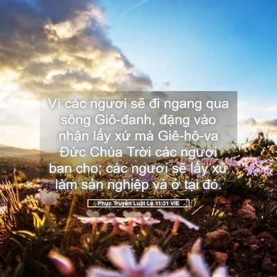Picture 05 - Phục Truyền Luật Lệ 11:31 VIE - Vì các ngươi sẽ đi ngang qua sông - Bible Verse Picture
