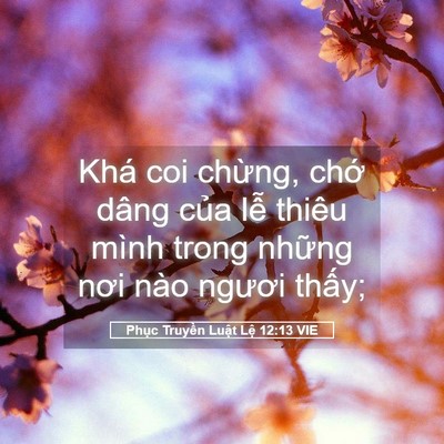 Picture 05 - Phục Truyền Luật Lệ 12:13 VIE - Khá coi chừng, chớ dâng của lễ thiêu - Bible Verse Picture