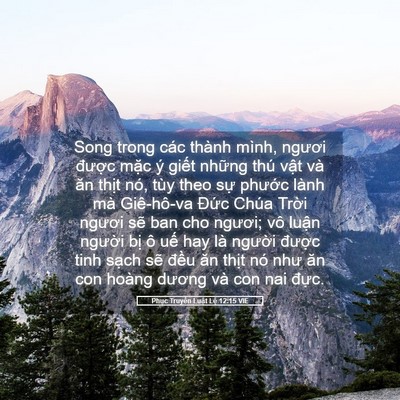 Picture 05 - Phục Truyền Luật Lệ 12:15 VIE - Song trong các thành mình, ngươi được - Bible Verse Picture