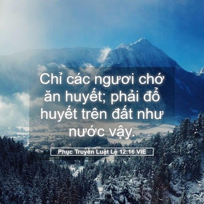 Picture 05 - Phục Truyền Luật Lệ 12:16 VIE - Chỉ các ngươi chớ ăn huyết; phải - Bible Verse Picture