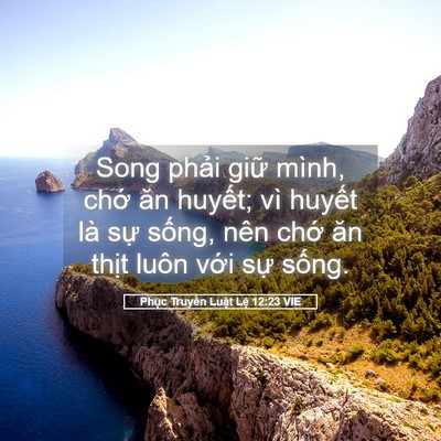 Picture 05 - Phục Truyền Luật Lệ 12:23 VIE - Song phải giữ mình, chớ ăn huyết; vì - Bible Verse Picture