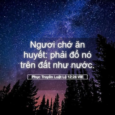 Picture 05 - Phục Truyền Luật Lệ 12:24 VIE - Ngươi chớ ăn huyết: phải đổ nó trên - Bible Verse Picture
