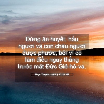 Picture 05 - Phục Truyền Luật Lệ 12:25 VIE - Đừng ăn huyết, hầu ngươi và con cháu - Bible Verse Picture