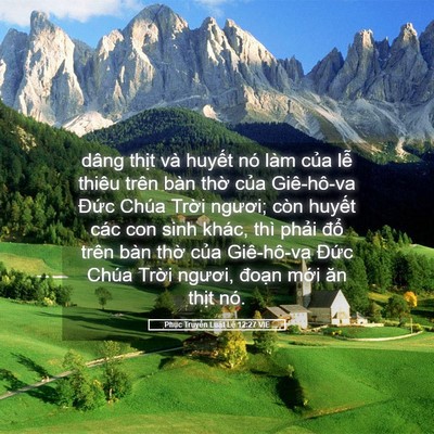 Picture 05 - Phục Truyền Luật Lệ 12:27 VIE - dâng thịt và huyết nó làm của lễ - Bible Verse Picture