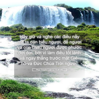 Picture 05 - Phục Truyền Luật Lệ 12:28 VIE - Hãy giữ và nghe các điều nầy mà ta - Bible Verse Picture