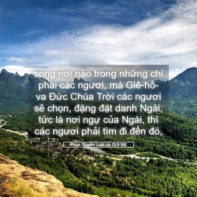 Picture 05 - Phục Truyền Luật Lệ 12:5 VIE - song nơi nào trong những chi phái các - Bible Verse Picture