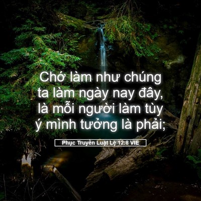 Picture 05 - Phục Truyền Luật Lệ 12:8 VIE - Chớ làm như chúng ta làm ngày nay đây, - Bible Verse Picture