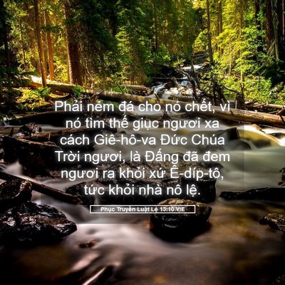 Picture 05 - Phục Truyền Luật Lệ 13:10 VIE - Phải ném đá cho nó chết, vì nó tìm - Bible Verse Picture