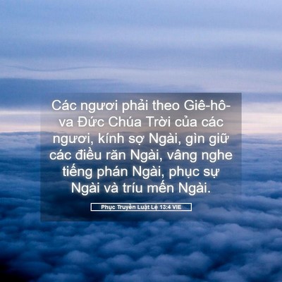 Picture 05 - Phục Truyền Luật Lệ 13:4 VIE - Các ngươi phải theo Giê-hô-va Đức Chúa - Bible Verse Picture