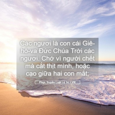 Picture 05 - Phục Truyền Luật Lệ 14:1 VIE - Các ngươi là con cái Giê-hô-va Đức - Bible Verse Picture