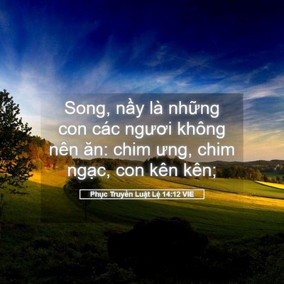 Picture 05 - Phục Truyền Luật Lệ 14:12 VIE - Song, nầy là những con các ngươi không - Bible Verse Picture