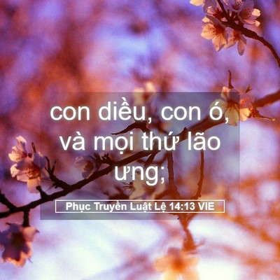 Picture 05 - Phục Truyền Luật Lệ 14:13 VIE - con diều, con ó, và mọi thứ lão - Bible Verse Picture