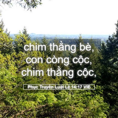 Picture 05 - Phục Truyền Luật Lệ 14:17 VIE - chim thằng bè, con còng cộc, chim thằng - Bible Verse Picture