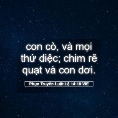 Picture 05 - Phục Truyền Luật Lệ 14:18 VIE - con cò, và mọi thứ diệc; chim rẽ quạt - Bible Verse Picture
