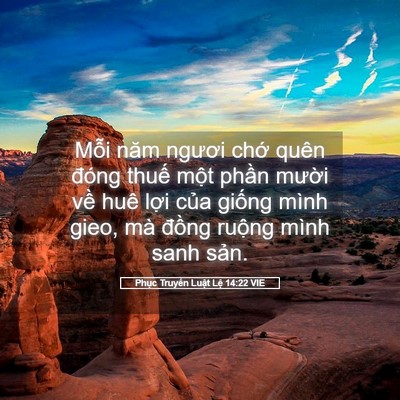 Picture 05 - Phục Truyền Luật Lệ 14:22 VIE - Mỗi năm ngươi chớ quên đóng thuế - Bible Verse Picture