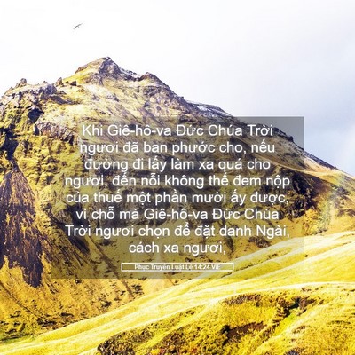 Picture 05 - Phục Truyền Luật Lệ 14:24 VIE - Khi Giê-hô-va Đức Chúa Trời ngươi đã - Bible Verse Picture