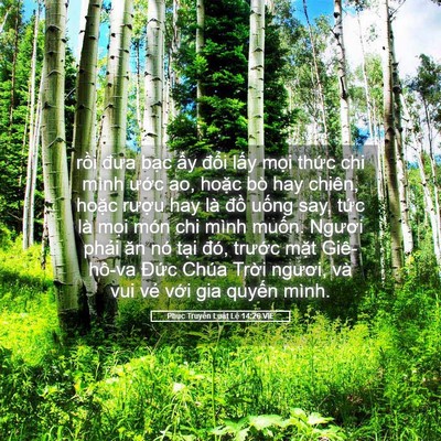 Picture 05 - Phục Truyền Luật Lệ 14:26 VIE - rồi đưa bạc ấy đổi lấy mọi thức - Bible Verse Picture