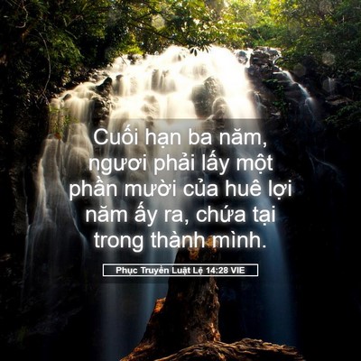 Picture 05 - Phục Truyền Luật Lệ 14:28 VIE - Cuối hạn ba năm, ngươi phải lấy một - Bible Verse Picture