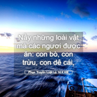 Picture 05 - Phục Truyền Luật Lệ 14:4 VIE - Nầy những loài vật mà các ngươi - Bible Verse Picture
