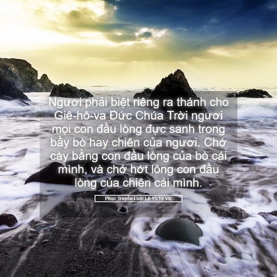 Picture 05 - Phục Truyền Luật Lệ 15:19 VIE - Ngươi phải biệt riêng ra thánh cho - Bible Verse Picture