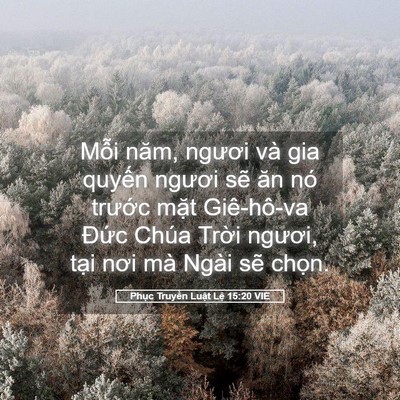Picture 05 - Phục Truyền Luật Lệ 15:20 VIE - Mỗi năm, ngươi và gia quyến ngươi sẽ - Bible Verse Picture