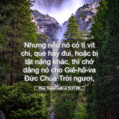 Picture 05 - Phục Truyền Luật Lệ 15:21 VIE - Nhưng nếu nó có tì vít chi, què hay đui, - Bible Verse Picture