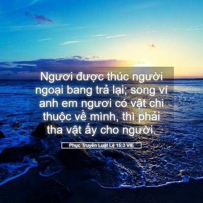 Picture 05 - Phục Truyền Luật Lệ 15:3 VIE - Ngươi được thúc người ngoại bang - Bible Verse Picture