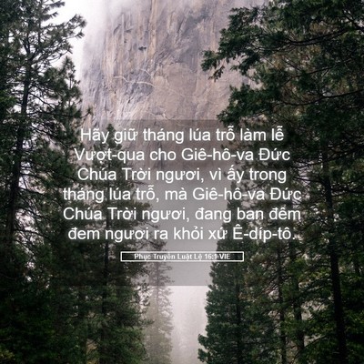 Picture 05 - Phục Truyền Luật Lệ 16:1 VIE - Hãy giữ tháng lúa trỗ làm lễ - Bible Verse Picture