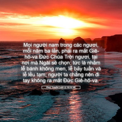 Picture 05 - Phục Truyền Luật Lệ 16:16 VIE - Mọi người nam trong các ngươi, mỗi năm - Bible Verse Picture
