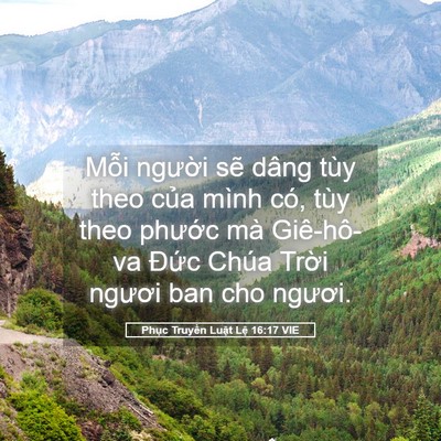 Picture 05 - Phục Truyền Luật Lệ 16:17 VIE - Mỗi người sẽ dâng tùy theo của mình - Bible Verse Picture