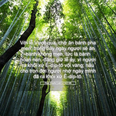 Picture 05 - Phục Truyền Luật Lệ 16:3 VIE - Với lễ Vượt-qua, chớ ăn bánh pha men; - Bible Verse Picture