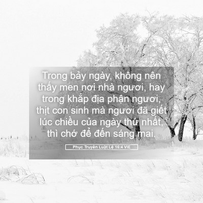 Picture 05 - Phục Truyền Luật Lệ 16:4 VIE - Trong bảy ngày, không nên thấy men nơi - Bible Verse Picture