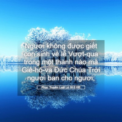 Picture 05 - Phục Truyền Luật Lệ 16:5 VIE - Ngươi không được giết con sinh về lễ - Bible Verse Picture