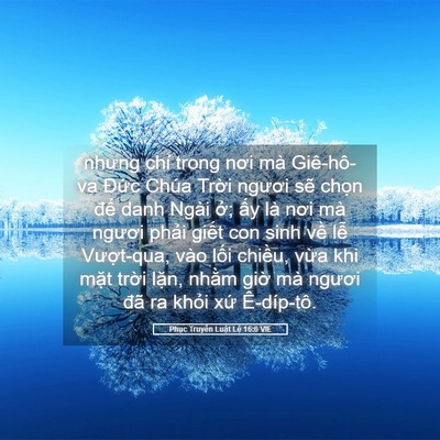 Picture 05 - Phục Truyền Luật Lệ 16:6 VIE - nhưng chỉ trong nơi mà Giê-hô-va Đức - Bible Verse Picture