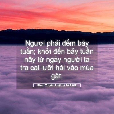 Picture 05 - Phục Truyền Luật Lệ 16:9 VIE - Ngươi phải đếm bảy tuần; khởi đến - Bible Verse Picture