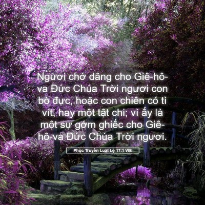 Picture 05 - Phục Truyền Luật Lệ 17:1 VIE - Ngươi chớ dâng cho Giê-hô-va Đức Chúa - Bible Verse Picture