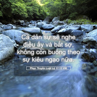 Picture 05 - Phục Truyền Luật Lệ 17:13 VIE - Cả dân sự sẽ nghe điều ấy và bắt - Bible Verse Picture