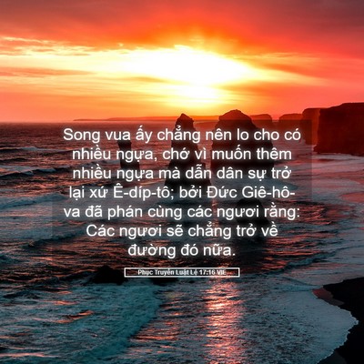 Picture 05 - Phục Truyền Luật Lệ 17:16 VIE - Song vua ấy chẳng nên lo cho có nhiều - Bible Verse Picture