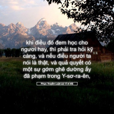Picture 05 - Phục Truyền Luật Lệ 17:4 VIE - khi điều đó đem học cho ngươi hay, thì - Bible Verse Picture