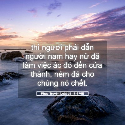 Picture 05 - Phục Truyền Luật Lệ 17:5 VIE - thì ngươi phải dẫn người nam hay nữ - Bible Verse Picture