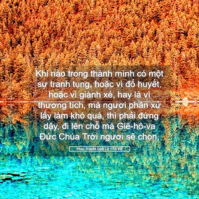 Picture 05 - Phục Truyền Luật Lệ 17:8 VIE - Khi nào trong thành mình có một sự tranh - Bible Verse Picture