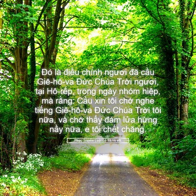 Picture 05 - Phục Truyền Luật Lệ 18:16 VIE - Đó là điều chính ngươi đã cầu - Bible Verse Picture