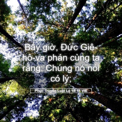 Picture 05 - Phục Truyền Luật Lệ 18:17 VIE - Bấy giờ, Đức Giê-hô-va phán cùng ta - Bible Verse Picture