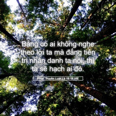 Picture 05 - Phục Truyền Luật Lệ 18:19 VIE - Bằng có ai không nghe theo lời ta mà - Bible Verse Picture
