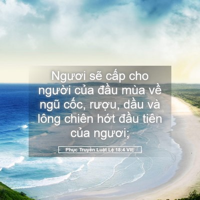 Picture 05 - Phục Truyền Luật Lệ 18:4 VIE - Ngươi sẽ cấp cho người của đầu mùa - Bible Verse Picture